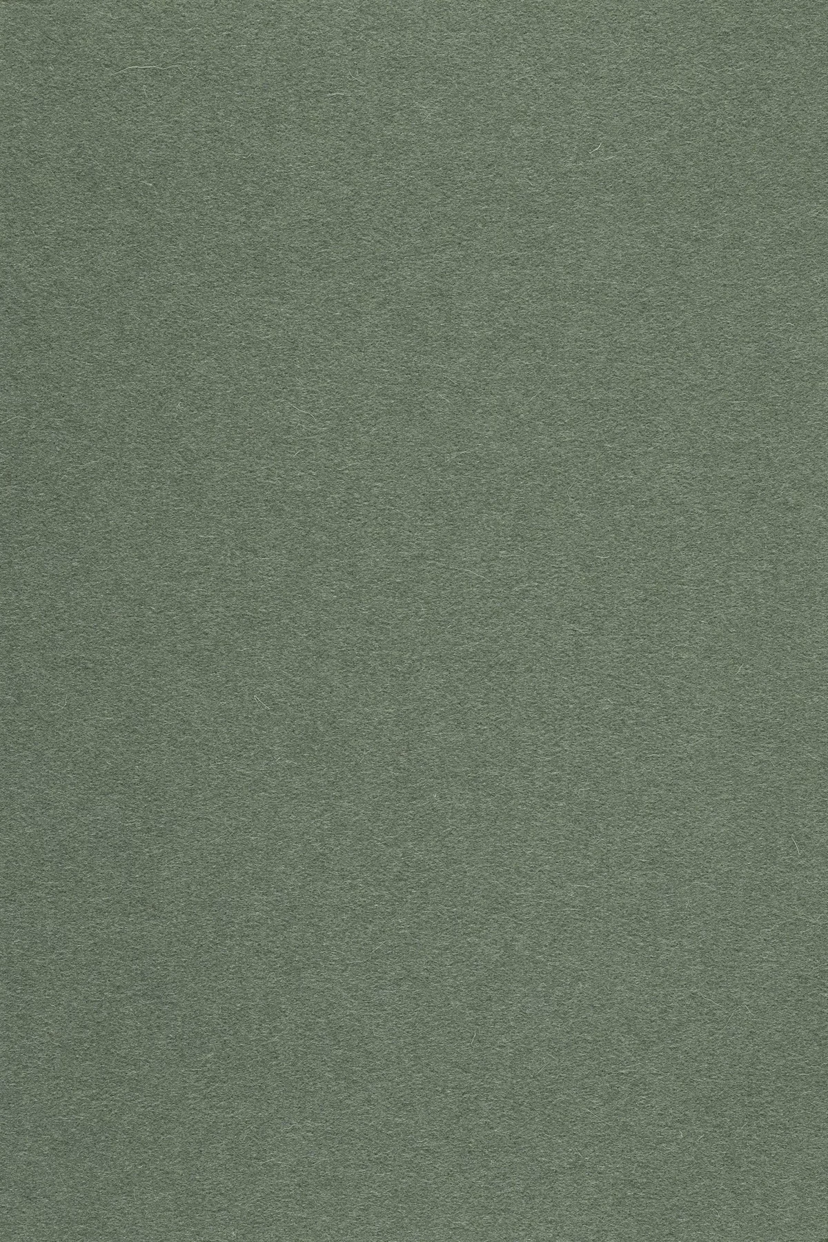 Fabric sample Divina 3 944 green